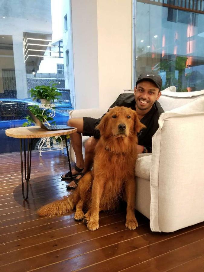 Hotel 張家界武陵源北岸輕奢客棧 森林公園店 Zhangjiajie Esterno foto